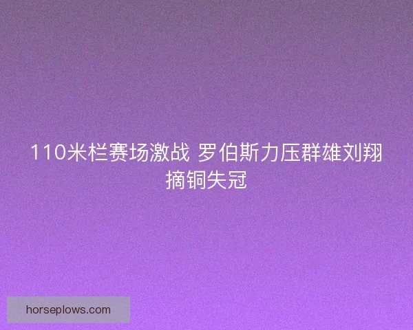 110米栏赛场激战 罗伯斯力压群雄刘翔摘铜失冠