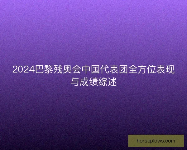 2024巴黎残奥会中国代表团全方位表现与成绩综述