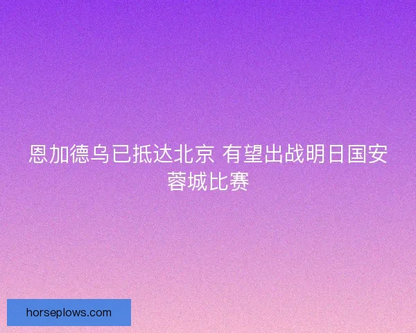 恩加德乌已抵达北京 有望出战明日国安蓉城比赛