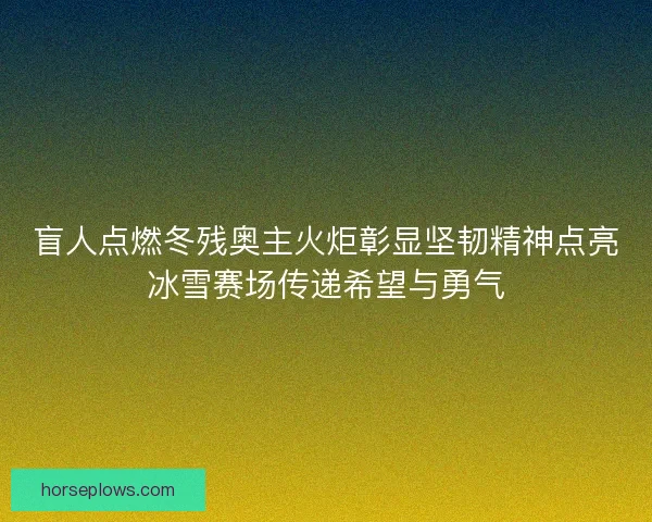 盲人点燃冬残奥主火炬彰显坚韧精神点亮冰雪赛场传递希望与勇气 盲人点燃冬残奥主火炬彰显坚韧精神点亮冰雪赛场传递希望与勇气